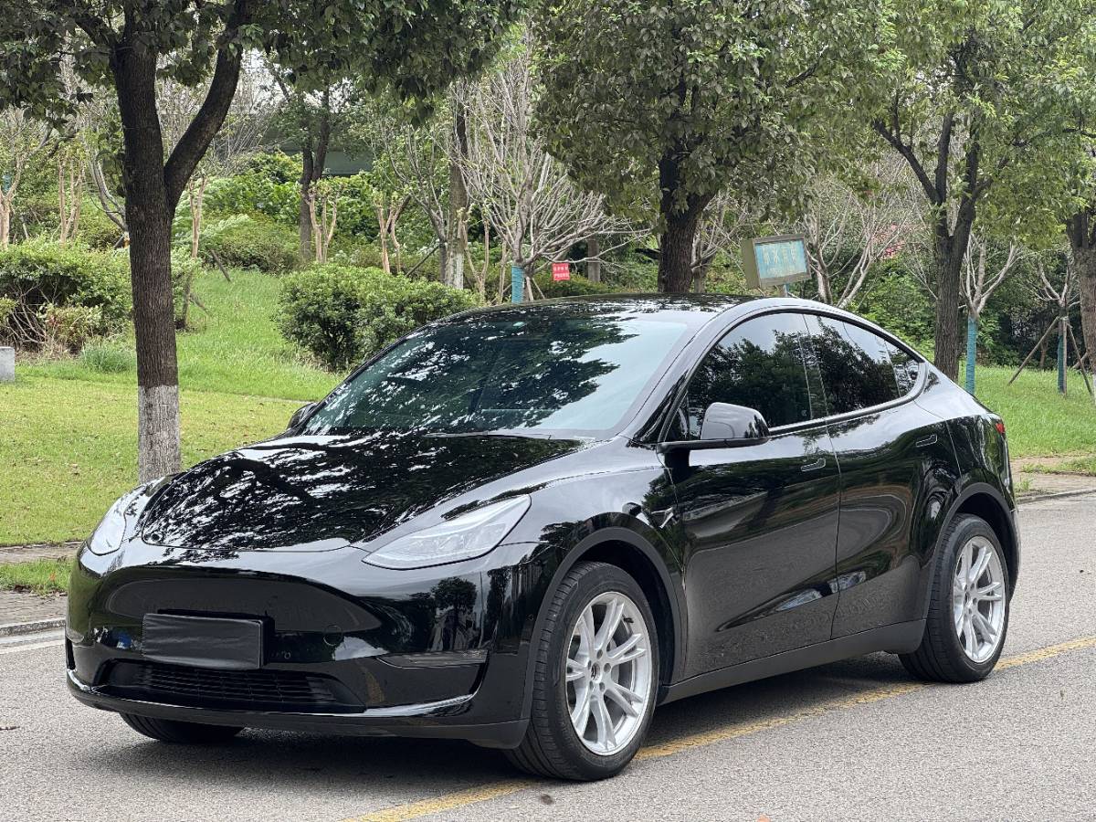 Tesla Model Y 2023 car image 