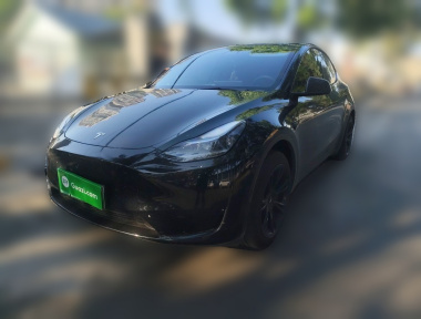 Tesla Model Y 2023 Tesla Model Y 2023 imagen de coche