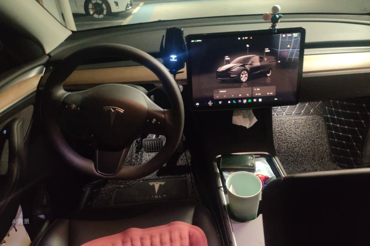 Tesla Model Y 2022 car image #11