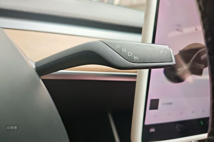 Tesla Model 3 2020 car image #16