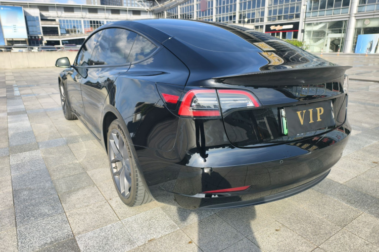 Tesla Model 3 2022 immagine di auto #7