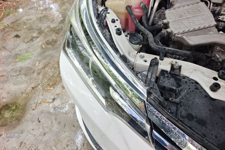 Toyota Corolla 2019 car image #8