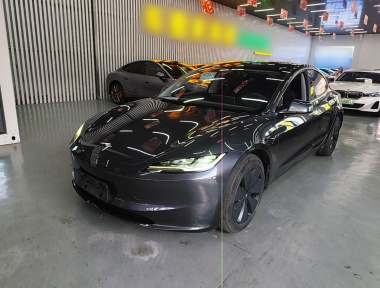 Tesla Model 3 2024 car image 