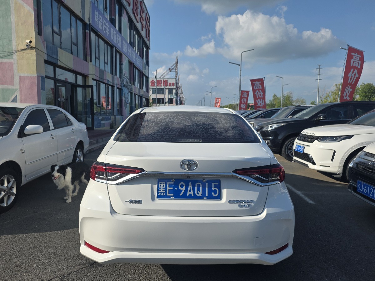 Toyota Corolla 2019 #8 Toyota Corolla 2019 car image #8