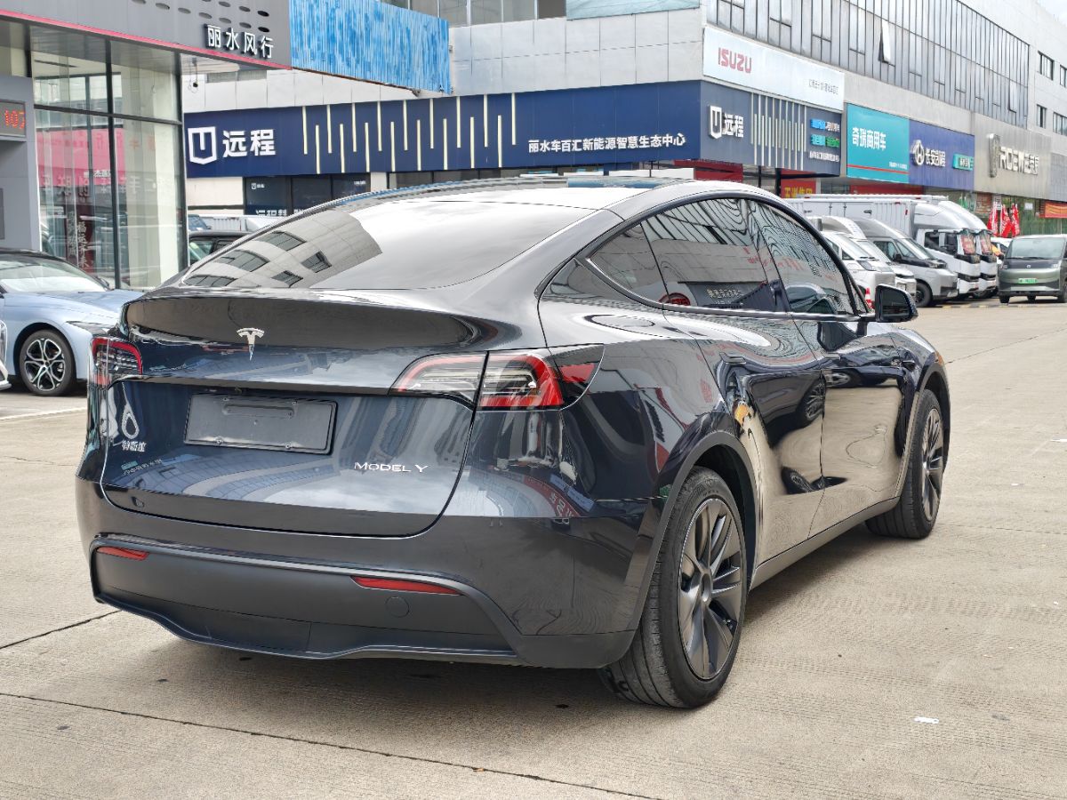 Tesla Model Y 2024 car image #9