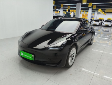Tesla Model 3 2023 car image 