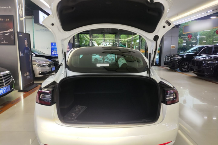 Tesla Model 3 2020 #19 Tesla Model 3 2020 car image #19