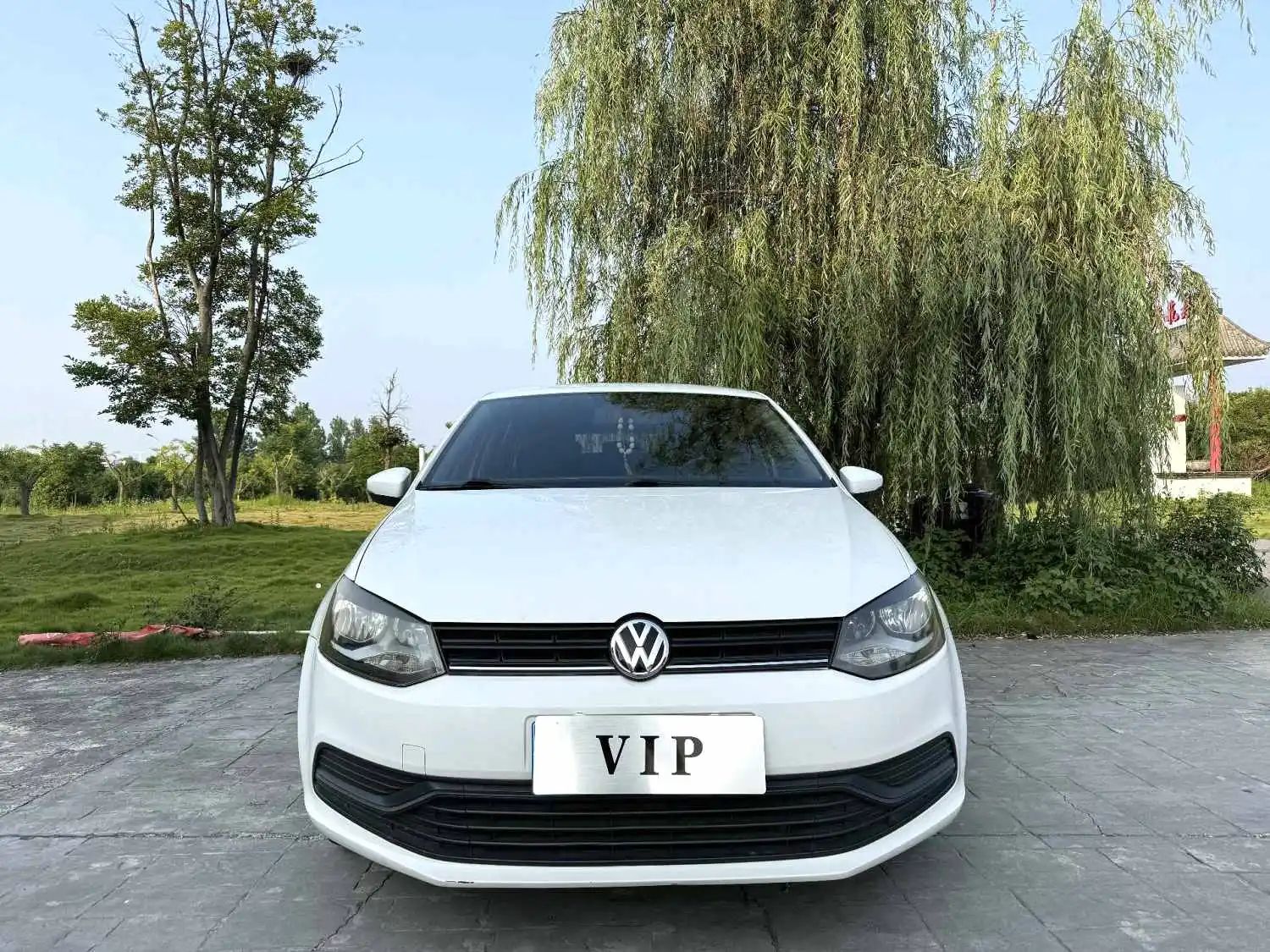Volkswagen Polo 2019 immagine di auto #2