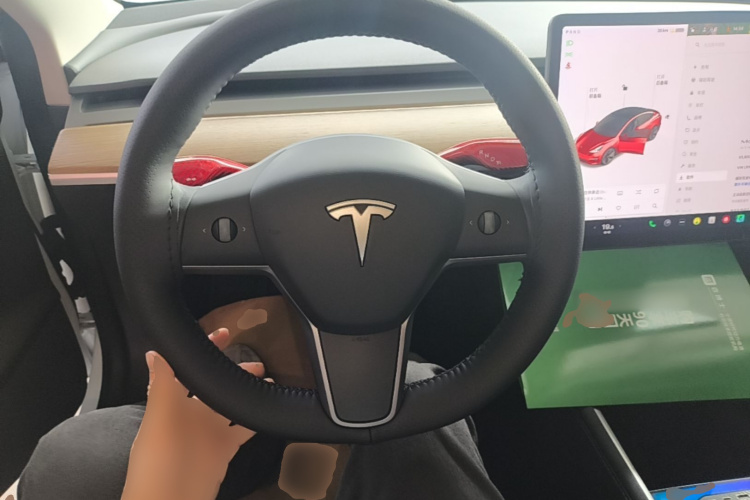 Tesla Model 3 2021 car image #11