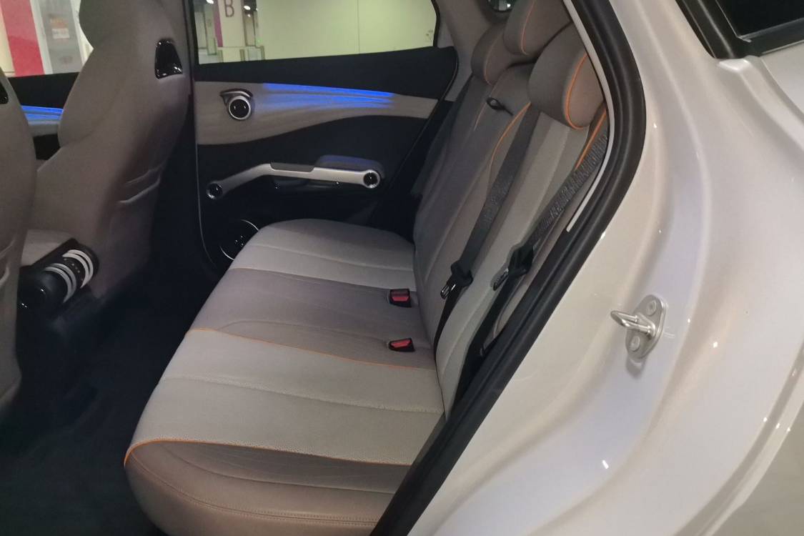 BYD Yuan Plus 2024 car image #19