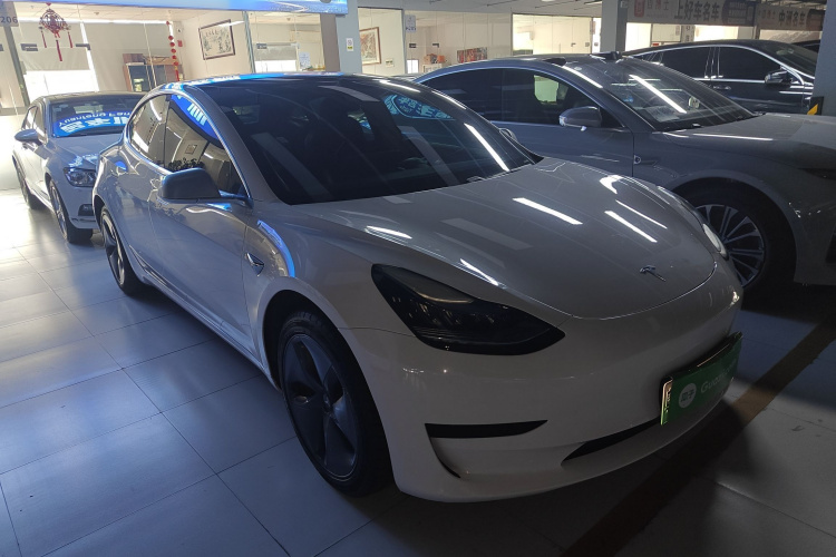 Tesla Model 3 2020 car image #4