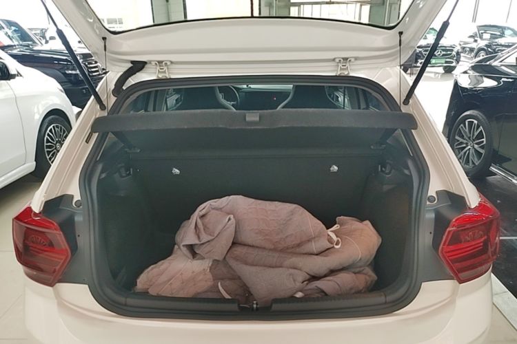 Volkswagen Polo 2020 car image #19