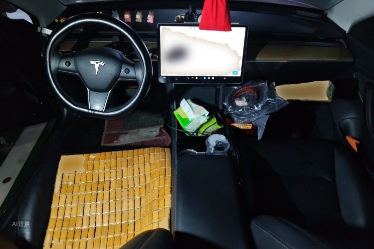 Tesla Model 3 2020 #11 Tesla Model 3 2020 car image #11