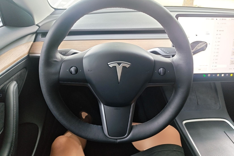 Tesla Model 3 2021 car image #11