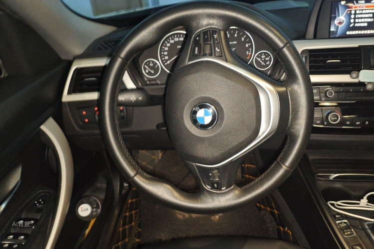 BMW 3 Series GT 2016 car image #12