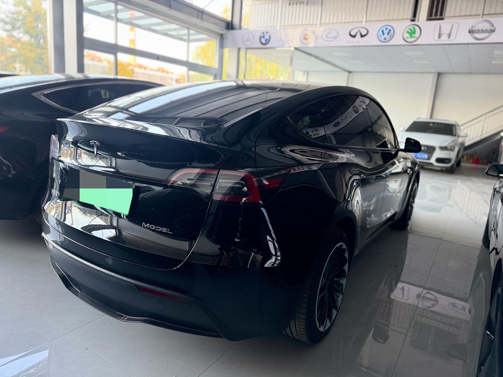 Tesla Model Y 2023 #5 Tesla Model Y 2023 car image #5