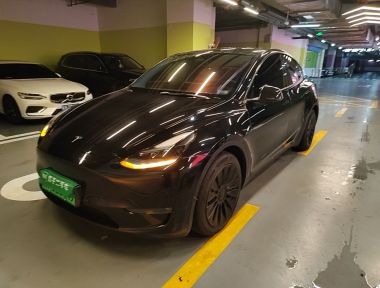 Tesla Model Y 2021 Tesla Model Y 2021 car image