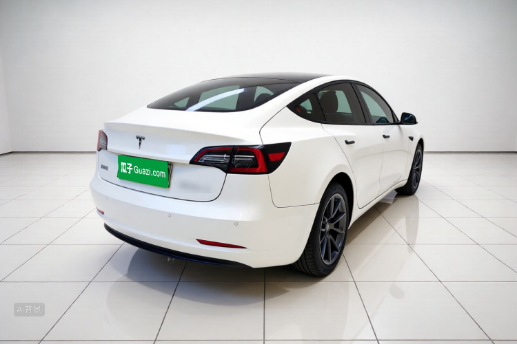 Tesla Model 3 2021 car image #7