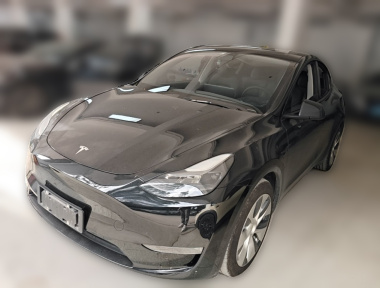 Tesla Model Y 2021 car image 