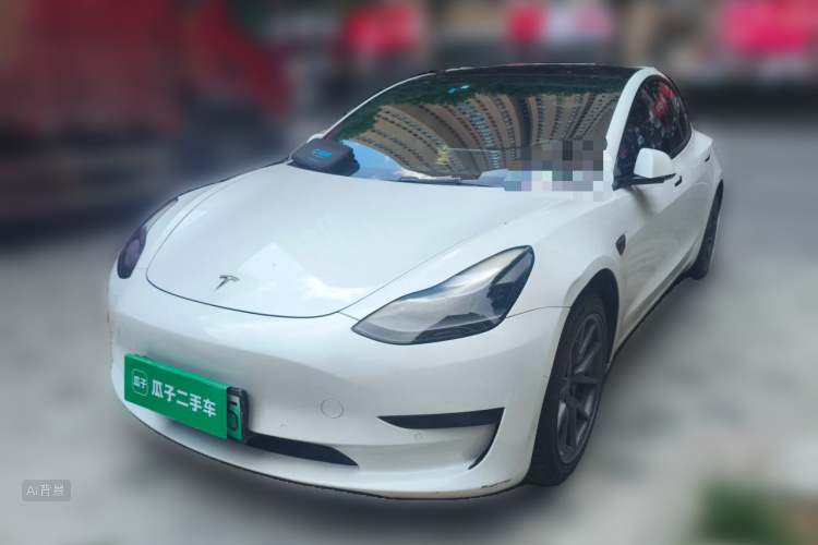 Tesla Model 3 2021 immagine di auto #2