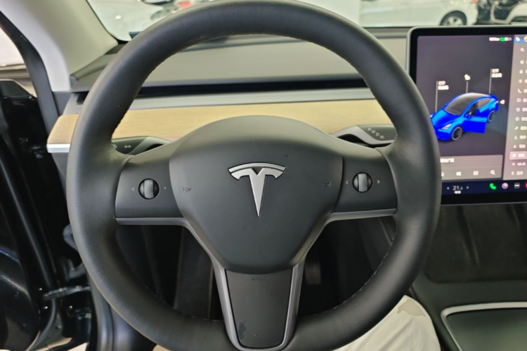 Tesla Model Y 2021 car image #11