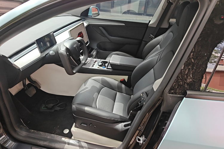 Tesla Model Y 2024 car image #15