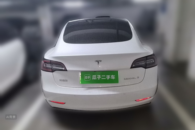 Tesla Model 3 2020 car image #6