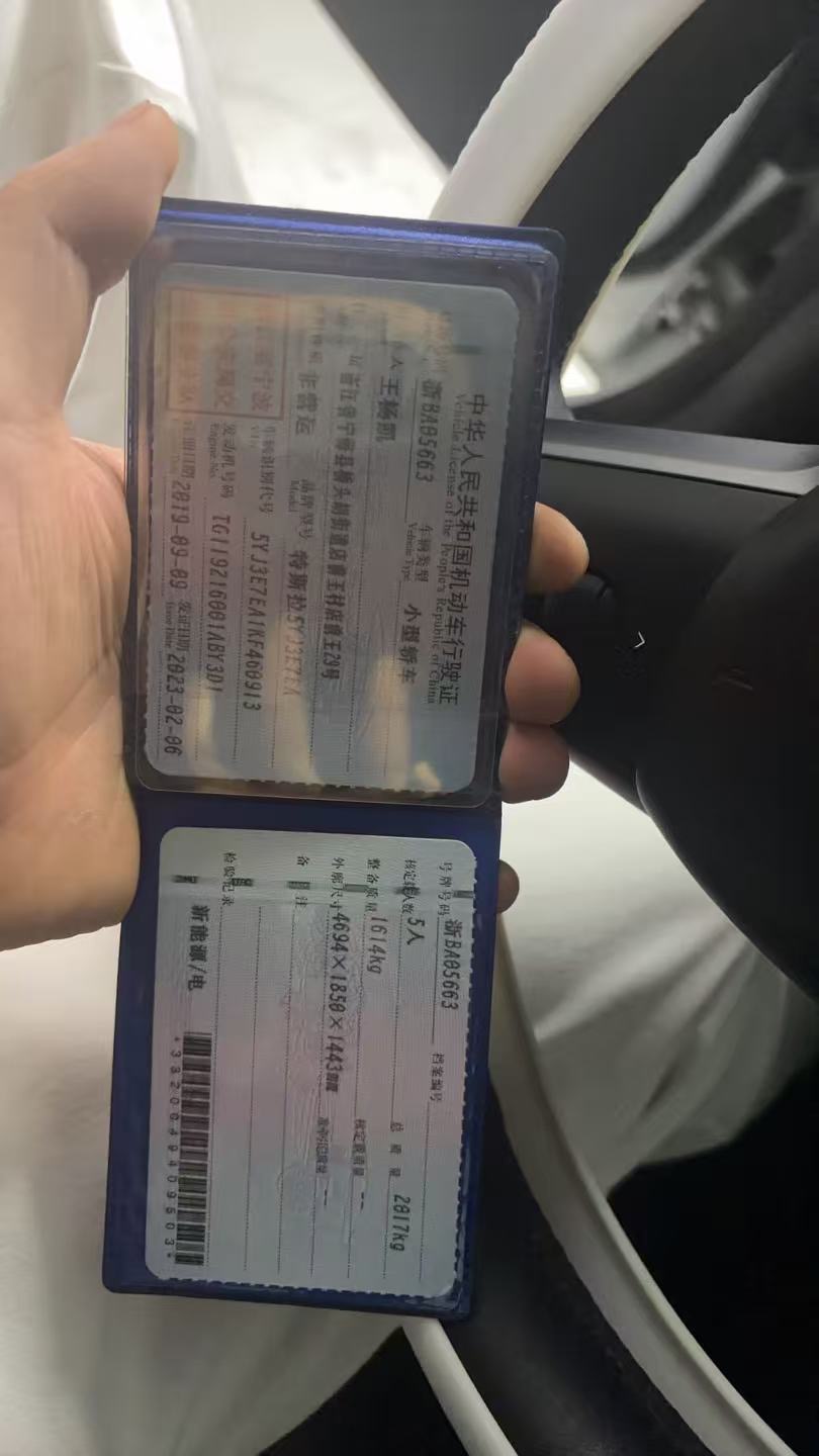 Tesla Model 3 (Imported) 2019 #10 Tesla Model 3 (Imported) 2019 imagen de coche #10