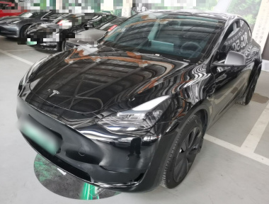 Tesla Model Y 2021 Tesla Model Y 2021 car image