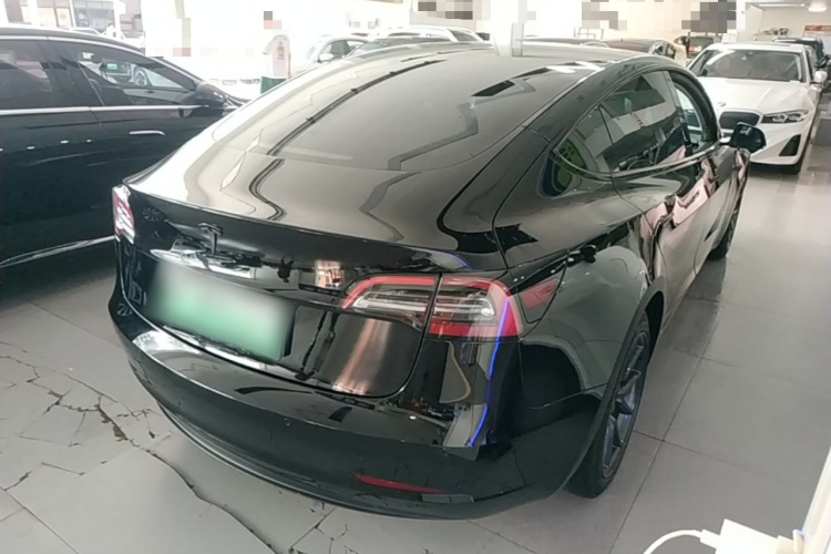 Tesla Model 3 2021 car image #7