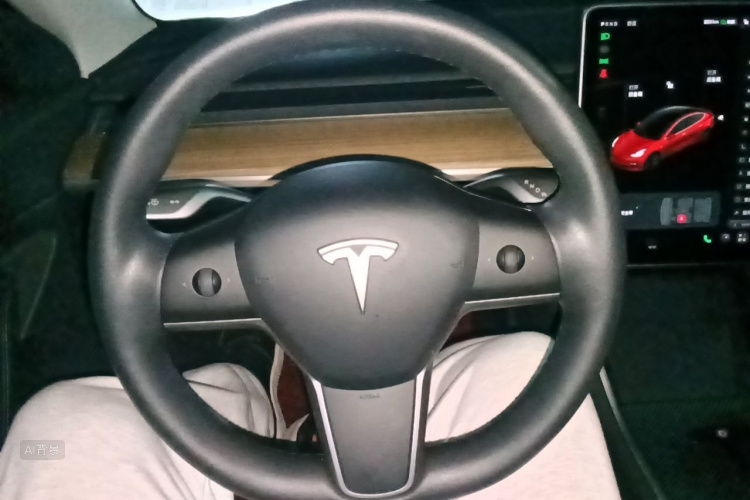 Tesla Model 3 2020 image de voiture #12