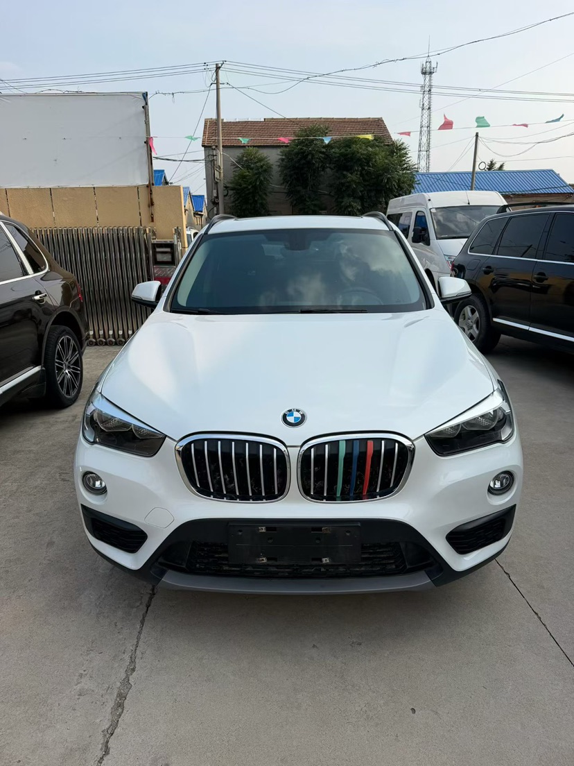 BMW X1 2019 car image 