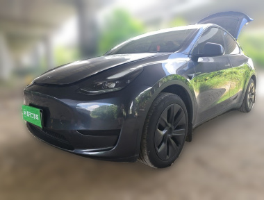 Tesla Model Y 2024 Tesla Model Y 2024 car image