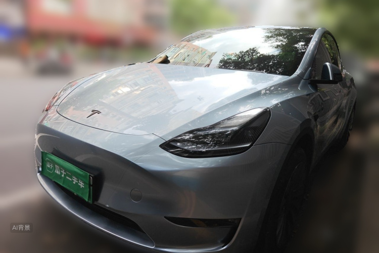 Tesla Model Y 2024 car image #2