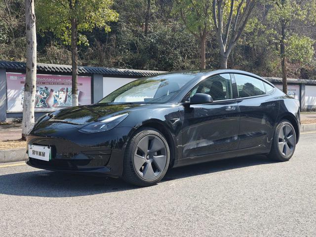 Tesla Model 3 2022 immagine di auto #14