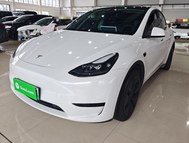 Tesla Model Y 2024 Tesla Model Y 2024 car image