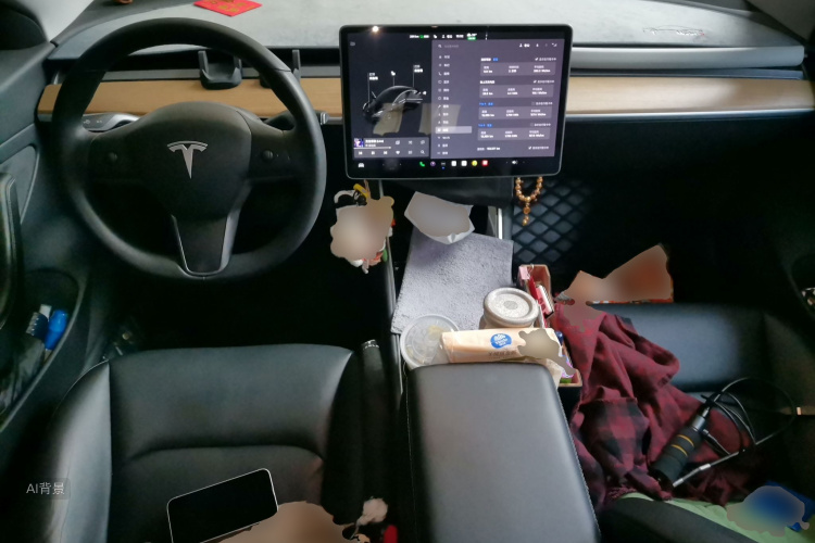 Tesla Model 3 2020 car image #11