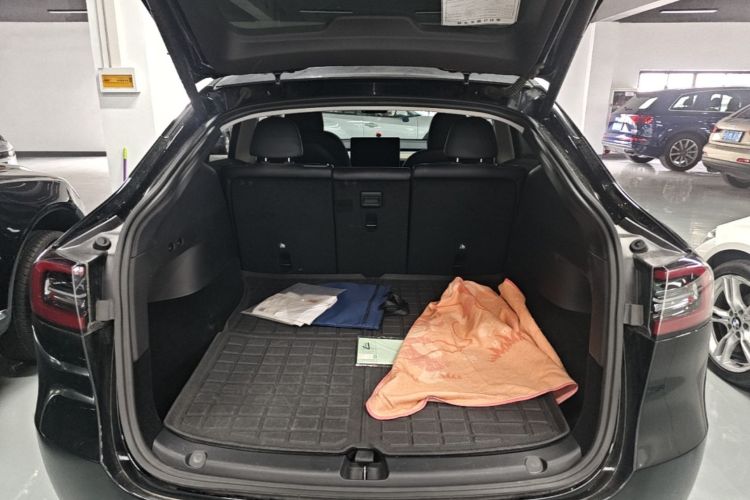 Tesla Model Y 2021 #19 Tesla Model Y 2021 car image #19