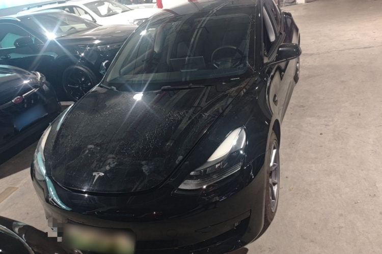 Tesla Model 3 2021 #3 Tesla Model 3 2021 immagine di auto #3
