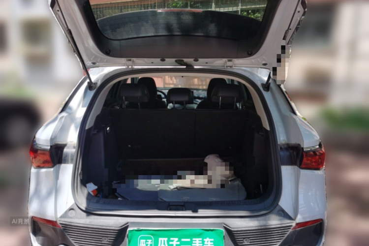 BYD Yuan Plus 2023 #21 BYD Yuan Plus 2023 car image #21