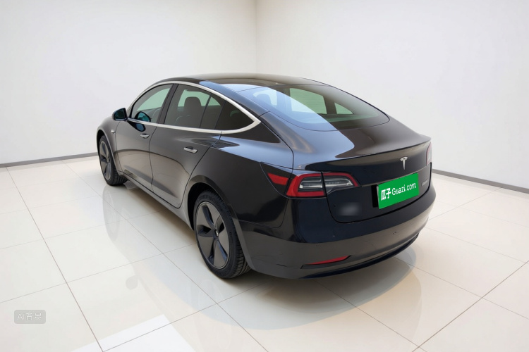 Tesla Model 3 2020 car image #5