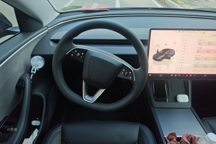 Tesla Model 3 2024 car image #12