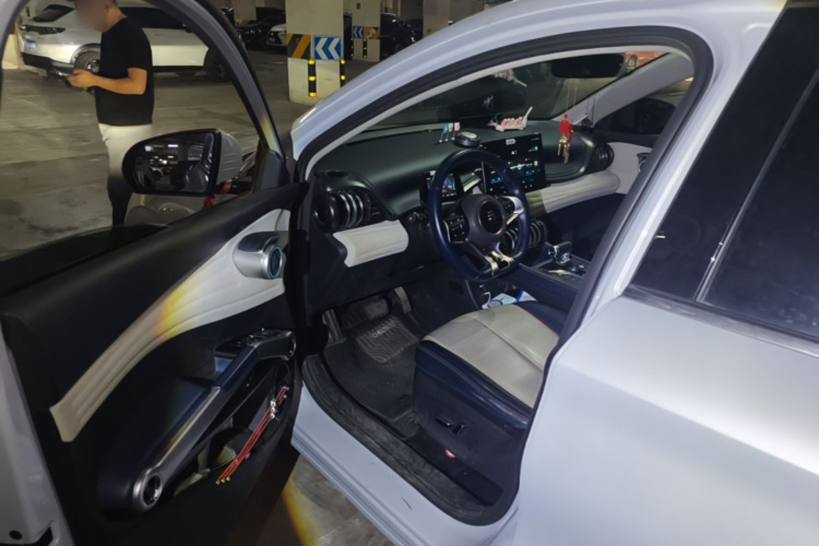 BYD Yuan Plus 2022 car image #9