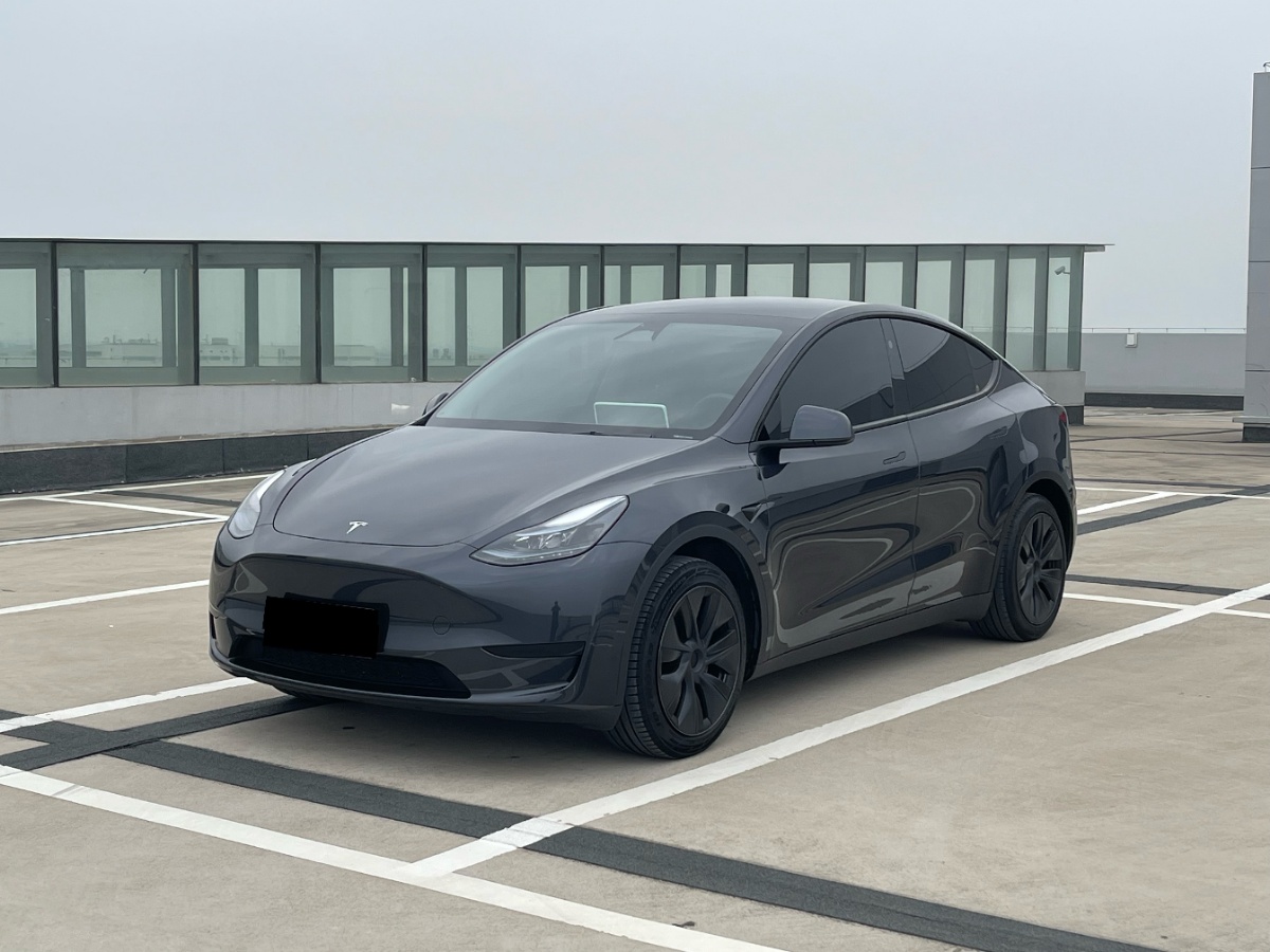 Tesla Model Y 2024 Tesla Model Y 2024 car image