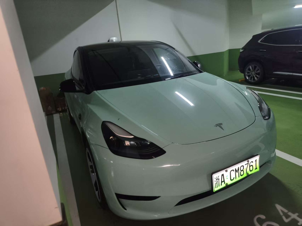 Tesla Model Y 2024 car image #3