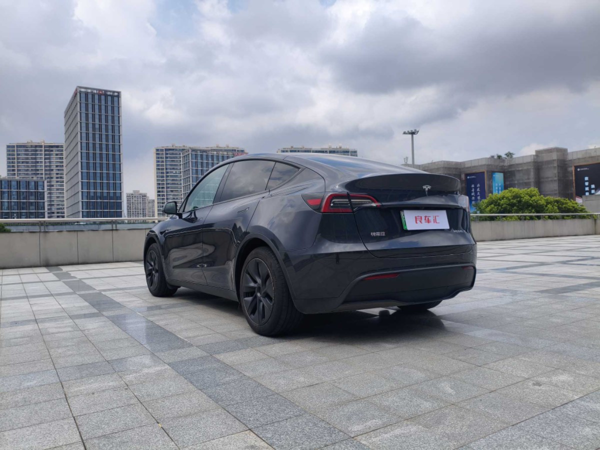 Tesla Model Y 2024 car image #9