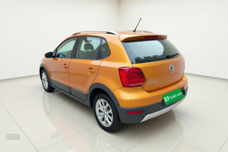 Volkswagen Polo 2014 car image #5