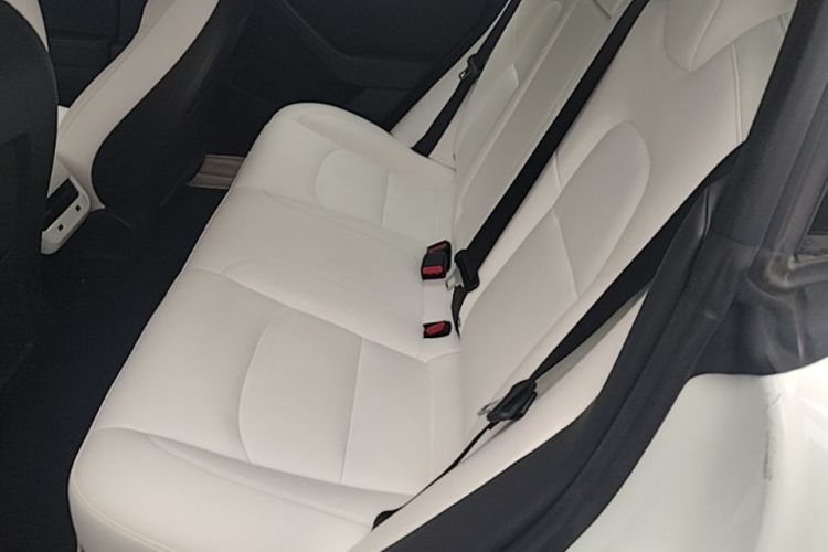 Tesla Model 3 2021 #17 Tesla Model 3 2021 car image #17