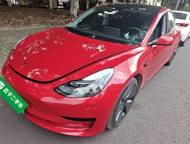 Tesla Model 3 2021 Tesla Model 3 2021 car image