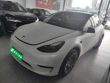 Tesla Model Y 2021 Tesla Model Y 2021 car image